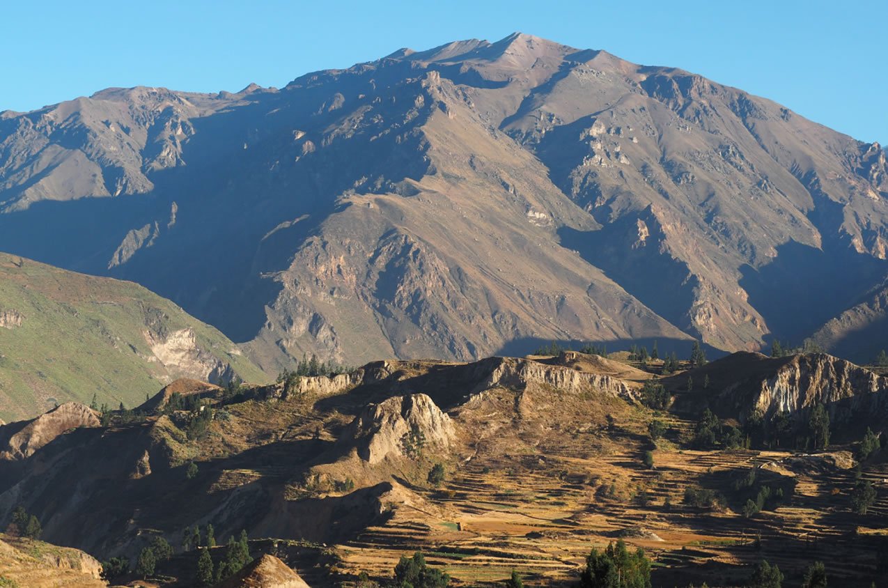 Voyage a Arequipa le canyon de Colca