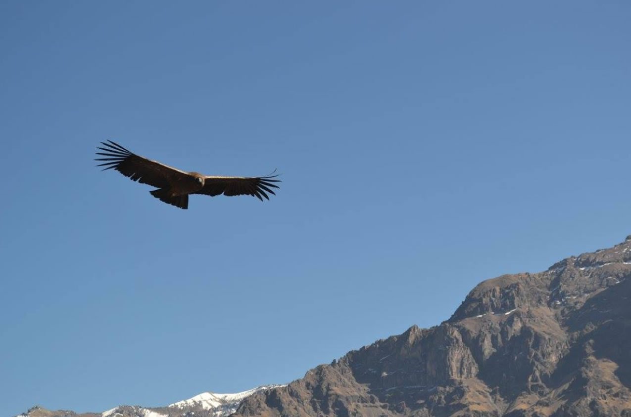 Voyage à Arequipa au Pérou